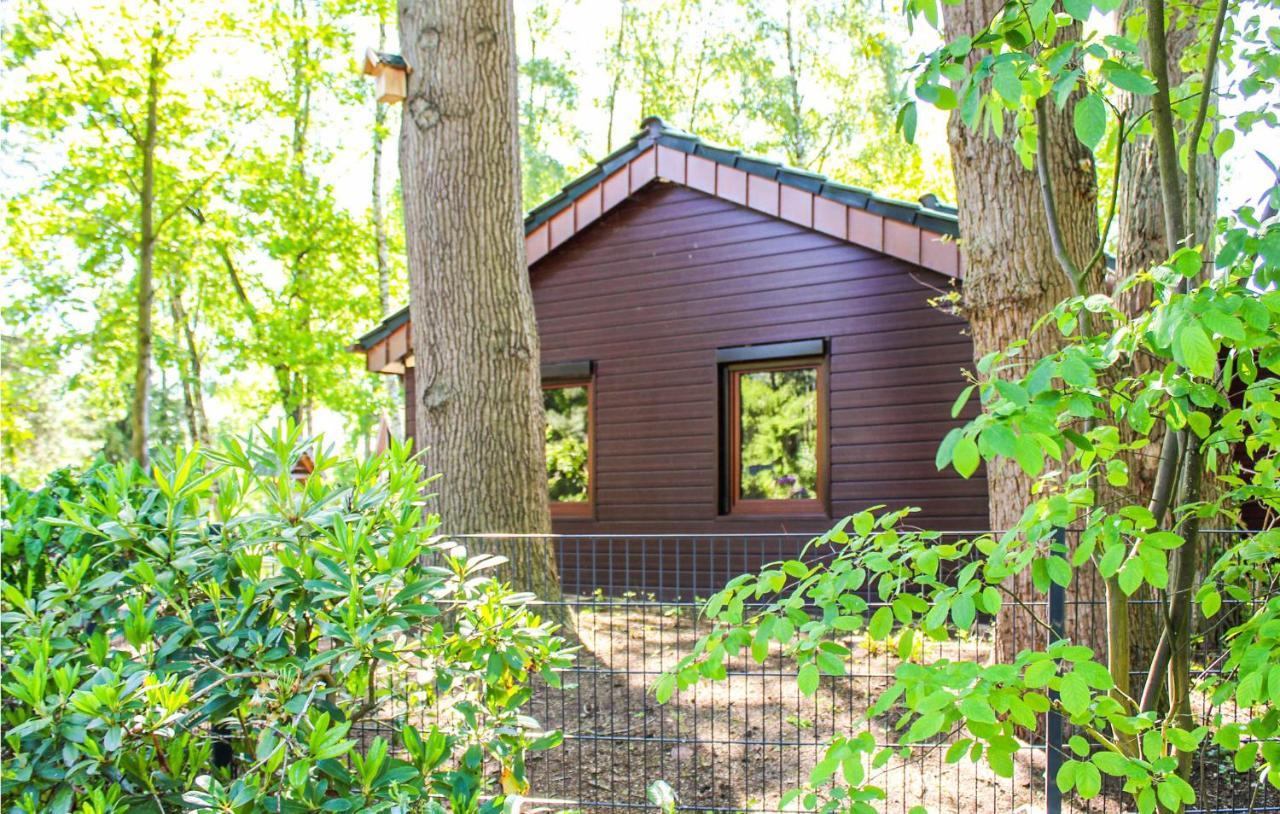 Pet Friendly Home In Haren With Sauna Dankern Exterior foto