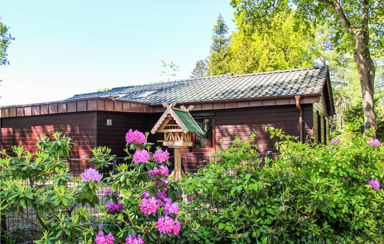 Pet Friendly Home In Haren With Sauna Dankern Exterior foto